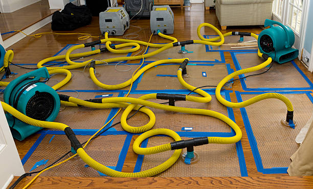 Professional Water Damage Restoration technician working in New Philadelphia, OH